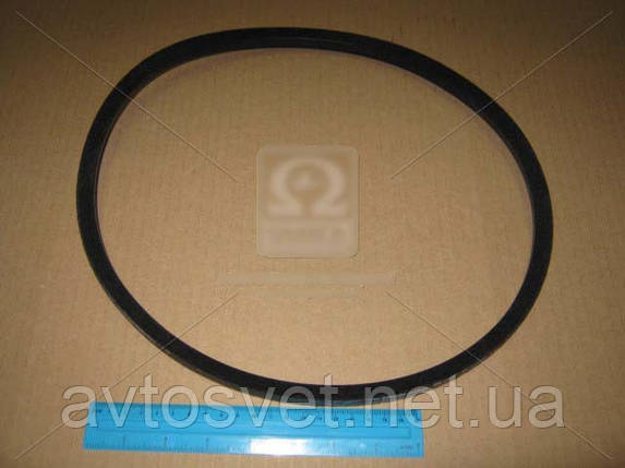 Ремінь B 1000 (СБ-1000) (пр-во Rubena) B 1000, фото 1