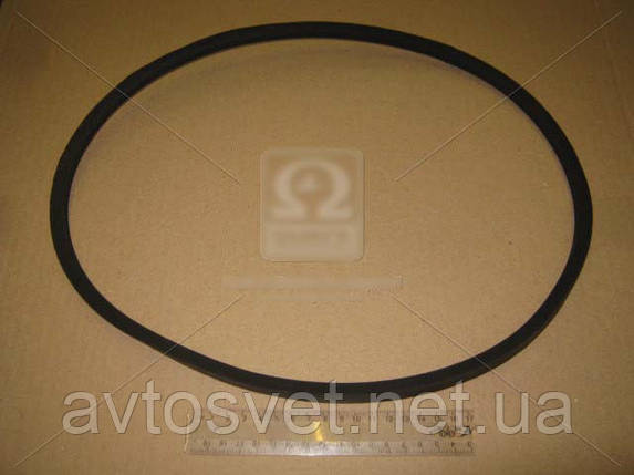 Ремінь 11х10х1090 МАЗ 6422, ІКАРУС 11х10х1090, фото 1