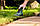 Аккумуляторные ножницы Bosch EasyShear (0600833300), фото 4