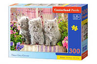 Пазлы Castorland "Котята" 300 элементов 40 х 29 см B-030330