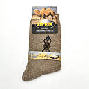Шкарпетки чоловічі теплі з вовни верблюда Термо носки, фото 2