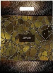 Поліетиленовий пакет із прорізною ручкою 290*390 мм 10 шт Стекло