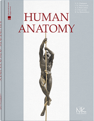 Книга "Human Аnatomy=Анатомія людини. — 2-ге вид." Черкасов В. Р., герасим'юк І. Є. та ін.