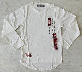 Реглан для хлопчика, Active Sport, арт. 6759, 140-146 см