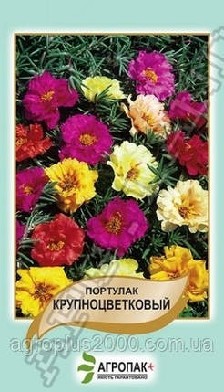 Насіння Портулак Махровий Великобарвний Суміш 0,1 грама Legutko Агропак, фото 1