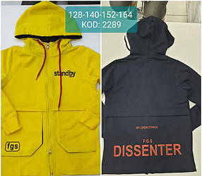 Кофта демісезонна спортивна  для хлопчика, з капюшоном, Fagis