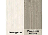 Тумба приліжкова 628 (22) Орегон (Сокме) 628х380х552мм, фото 7
