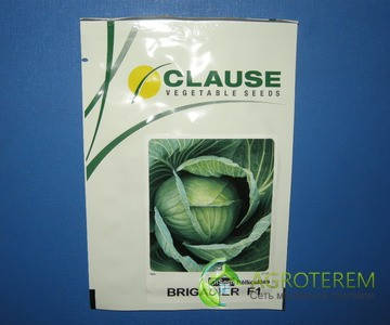 Колготкидегі онлайн секс фильмі