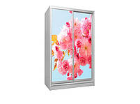 Шафа купе 2Д дводверна Квіти 56, вибір кольору корпусу та малюнка, фото 3