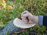 Обрізувач лісосмуг, дерев на трактор, фото 2