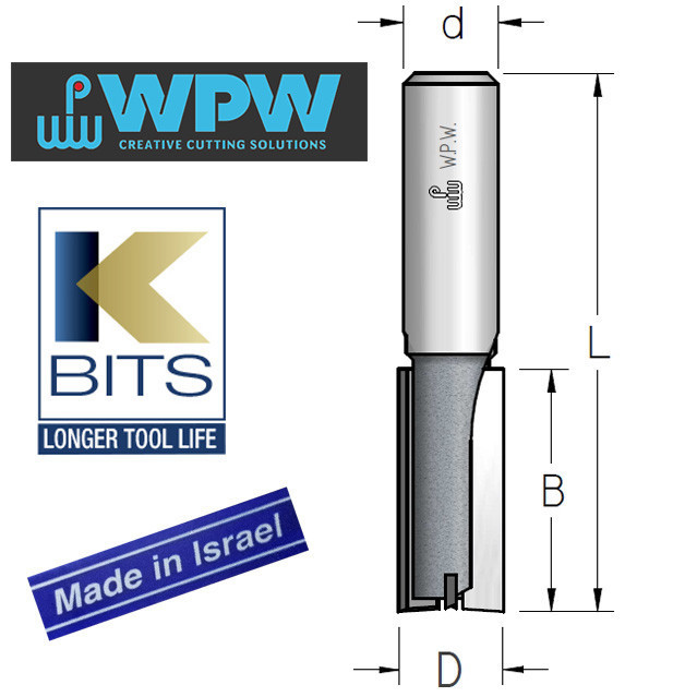 Фреза пазова з торцевим ножем D10 B19 d12 Z2+1 PT31002