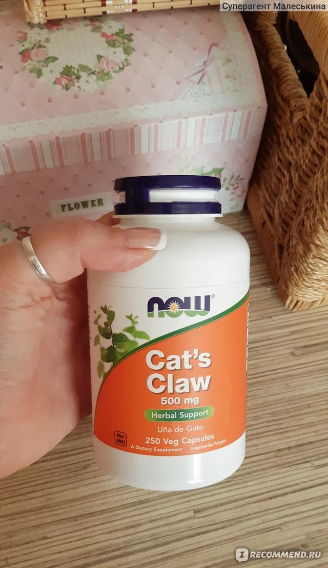 NOW Cats Claw 500 mg 