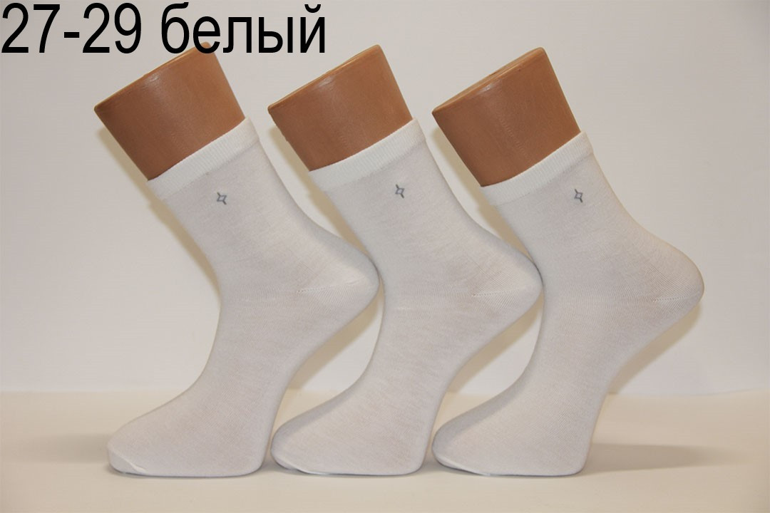 Чоловічі шкарпетки з бавовни 200 MONTEBELLO НЛ 27-29 білий