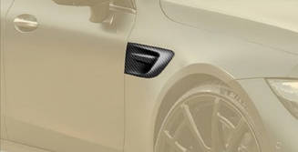 MANSORY front fender emblem for Mercedes AMG GT 63S Х290