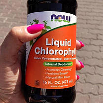 Хлорофіл NOW Chlorophyll Liquid 473 ml, фото 3