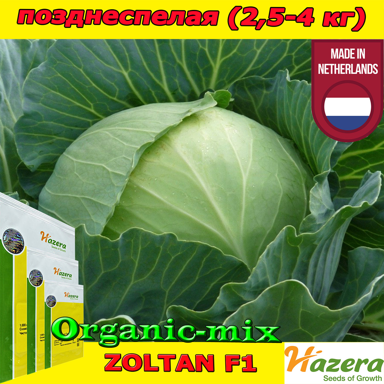 Золтан F1 / Zoltan F1, позднеспелая капуста, 2500 семян, ТМ HAZERA(Нидерланды): продажа, цена в Киевской области. Семена и рассада овощныхкультур от \