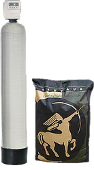 Фільтр для видалення сірководню ECOSOFT FPC 1252 СТ