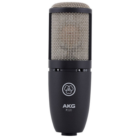 Студійний конденсаторний мікрофон AKG Perception P220, фото 1