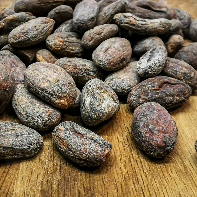 Какао бобы Криолло Какао бобы Криолло из Венесуэлы