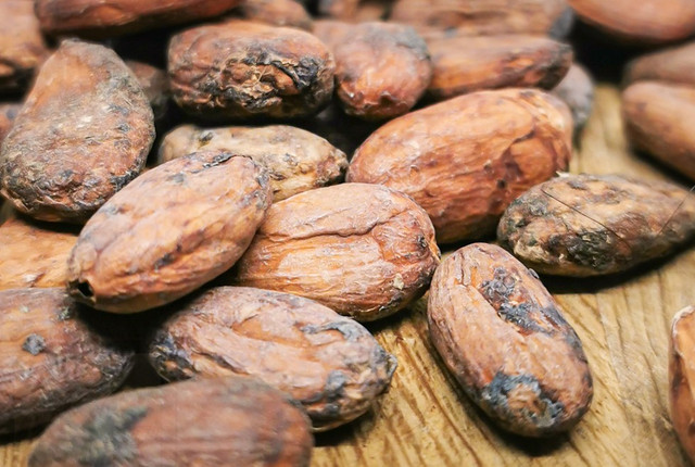 Какао бобы Criollo Какао бобы Криолло