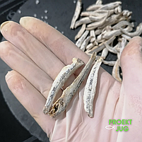 Опт Анчоус солено-сушений (снек) оптом із доставкою — закуска до пива ОПТ, фото 2