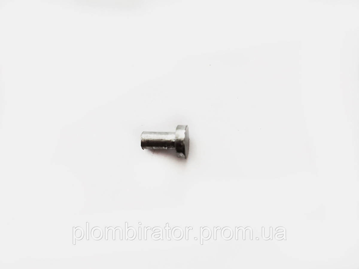 Пломба свинцовая Гвоздь 10 мм с ножкой 12 мм для газовых счетчиков - фото 2 - id-p1261377078