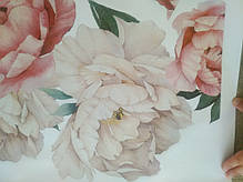 Наклейка на стіну Півонії 7 шт (лист 40 х 60 см) Б181-1, фото 4