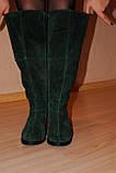 Чоботи смарагдового кольору демісезонні або зимові з натуральної замші ззаду замочок код 1715/3, фото 3
