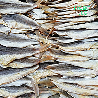 Тригла — риба солено-сушена нотатіння, снек до пива опт, фото 2