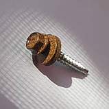 Саморізи золотий дуб 4,8*35 для дерева, фото 2