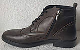 TODS! чоловічі зимові броги черевики оксфорд коричневі на шнурівці натуральна шкіра змійка, фото 8