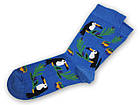 Шкарпетки Neseli Тукан сині , One size (37-42), фото 2