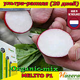Насіння, редис ультраранній, Меліто F1/Melito F1, 250 грамів, ТМ Hazera Seeds (Нідерланди), фото 2