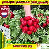 Насіння, редис ультраранній, Меліто F1/Melito F1, 250 грамів, ТМ Hazera Seeds (Нідерланди), фото 4