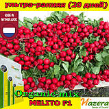 Насіння, редис ультраранній, Меліто F1/Melito F1, 250 грамів, ТМ Hazera Seeds (Нідерланди), фото 5