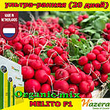 Насіння, редис ультраранній, Меліто F1/Melito F1, 250 грамів, ТМ Hazera Seeds (Нідерланди), фото 6