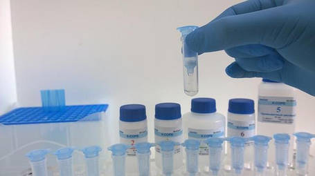 Екстракції і для виділення РНК/ДНК