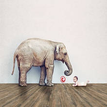 ADO Floor 2020 клейова вінілова плитка