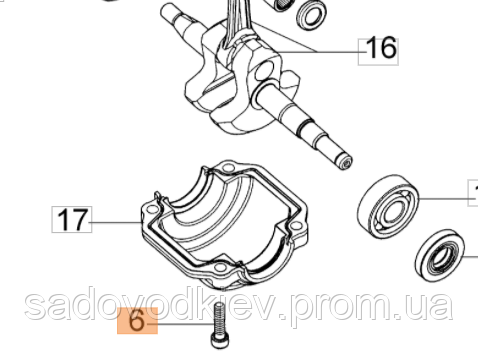 Гвинт кріплення піддона картера для бензопилки Oleo-Mac GS 35 (3801051R)