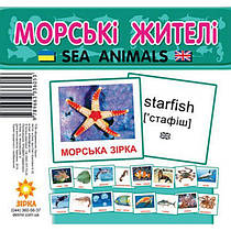 Картки Домана (міні) Морські жителі, Ранок