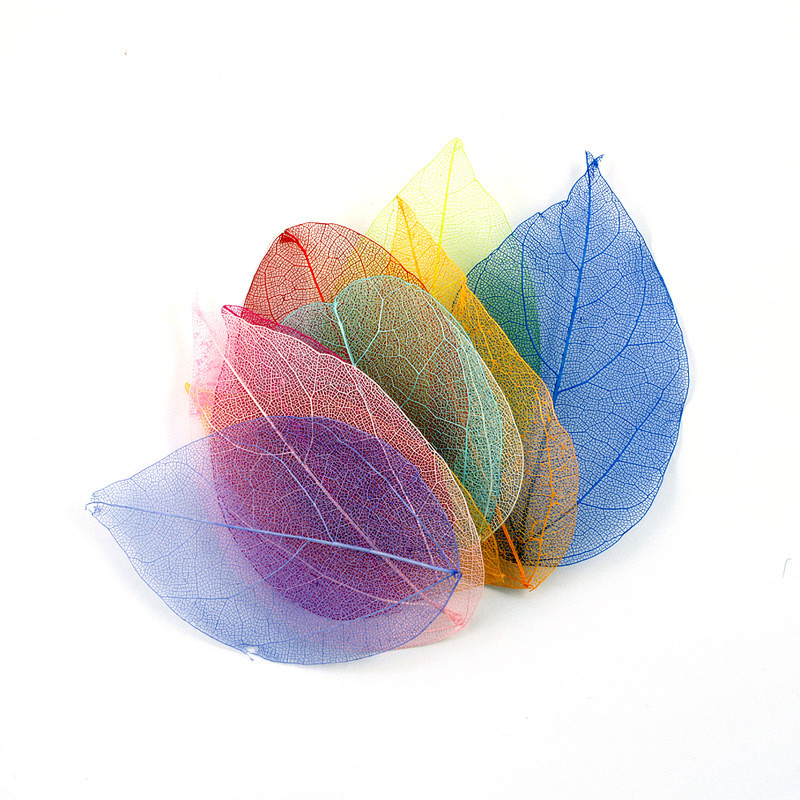 Купить Скелетированные листья, Разноцветные, набор 11 шт., цена 64 ...