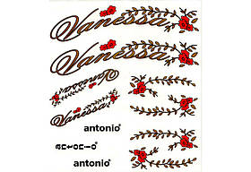 ✨Набір наклейок для велосипеду Vanessa  Antonio