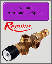 Клапан теплового скидання Regulus DBV 1