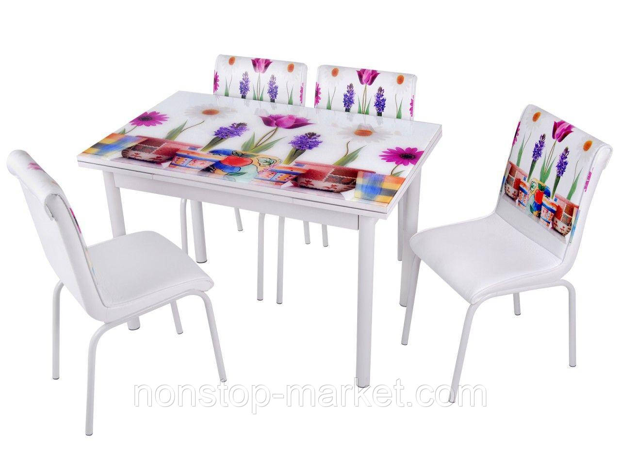 Розкладний стіл обідній кухонний комплект стіл і стільці 3D малюнок 3д "Квіти у горщиках" ДСП скло 70*110 Mobilgen 993