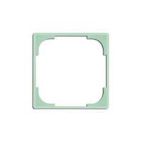 Кольорова Вставка салатовий ABB Busch Jaeger Basic55 (2516-903-507)
