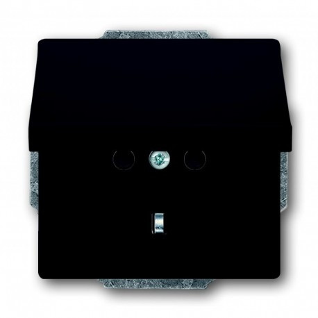 Розетка з заземленням антрацит ABB Busch Jaeger Future (20 EUK-81)