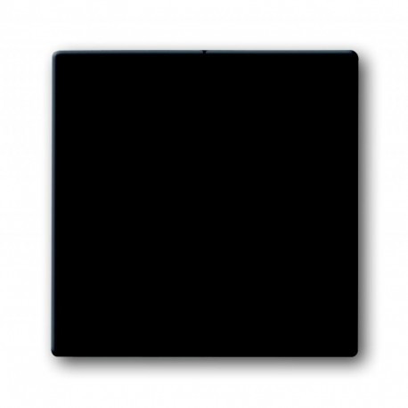 Клавіша 2-ая антрацит ABB Busch Jaeger future linear (1785-81)