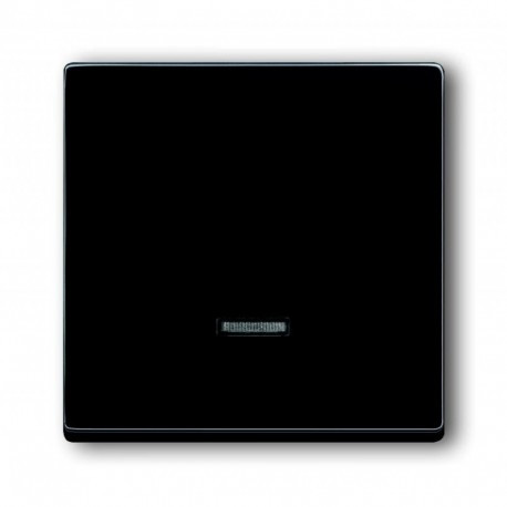 Пеньоль лицьова світлорегулятора з підсвічуванням антрацит ABB Busch Jaeger future linear (6543-81-101)