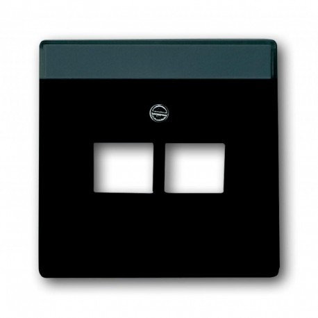 Лицьова Панель 2-ва RJ-45 антрацит ABB Busch Jaeger future linear (1803-02-81)