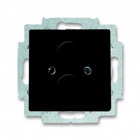 Пеньоль лицьова з супортом для BNC і TNC антрацит ABB Busch Jaeger future linear (1750-81)